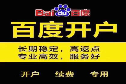 行业专家解析SEM代运营成功案例